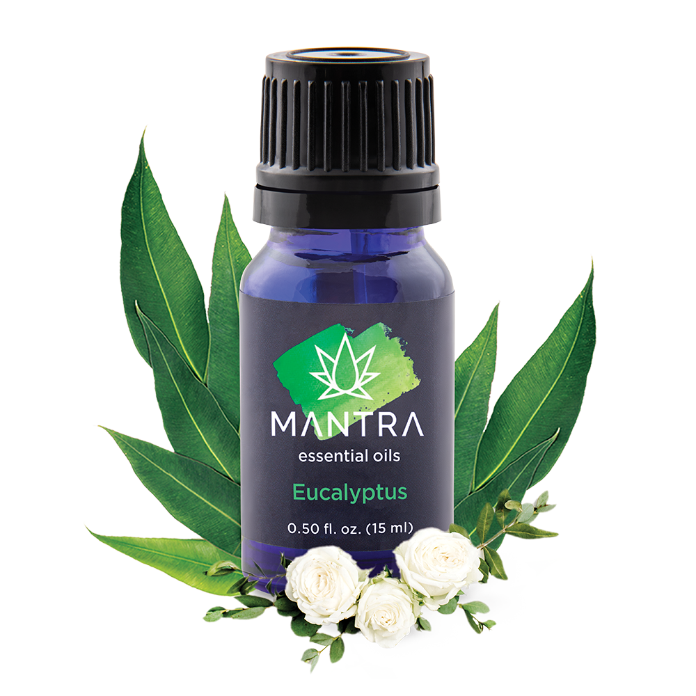 My Daily Choice Essential Oil Eucalyptus